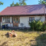 Albertirsán 48m2-es felújítandó családi ház eladó
